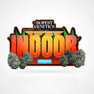 Indoor Fried Ice Cream Indica Flower