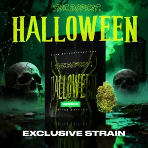 Exclusive Halloween Strain: Nightmare OG Indica Flower