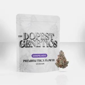 the dopest shop , the dopest , thedopestshop , dopest shop , dope as yola shop , thedopest , dopeasyola shop , dopest , dopestshop , dopest genetics , the dopest genetics , the dooest , dope as yola , thedopest shop , dope shop , dooest ,the dopestshop , the dope shop , the dooest shop , thedopestshop .com , thedopestshop com , dope as yola weed , dope as yola weed , thedopestshop.com , dope as yola thca , the dopest shop.com , dope as yola weed shop , the dopestshop.com , the dopest.com , the dopest shop photos , the dopeshop , dooest shop , the dopest yola , the dopest weed , the dopes , thca shops near , the doppest , dope genetics , the dopest com , the dopest. , dopest shop.com , dope as yola carts , doppest , thedooest , dopestyola , dopestyola , dope is yola shop , smokes n edibles , dopeshop , thca smoke shop near me , dopeasyola weed , thca vape near me , thca products near me , thca shops near me , thca gummies near me