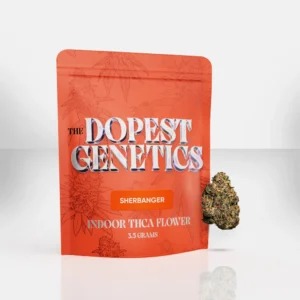 the dopest shop , the dopest , thedopestshop , dopest shop , dope as yola shop , thedopest , dopeasyola shop , dopest , dopestshop , dopest genetics , the dopest genetics , the dooest , dope as yola , thedopest shop , dope shop , dooest ,the dopestshop , the dope shop , the dooest shop , thedopestshop .com , thedopestshop com , dope as yola weed , dope as yola weed , thedopestshop.com , dope as yola thca , the dopest shop.com , dope as yola weed shop , the dopestshop.com , the dopest.com , the dopest shop photos , the dopeshop , dooest shop , the dopest yola , the dopest weed , the dopes , thca shops near , the doppest , dope genetics , the dopest com , the dopest. , dopest shop.com , dope as yola carts , doppest , thedooest , dopestyola , dopestyola , dope is yola shop , smokes n edibles , dopeshop , thca smoke shop near me , dopeasyola weed , thca vape near me , thca products near me , thca shops near me , thca gummies near me