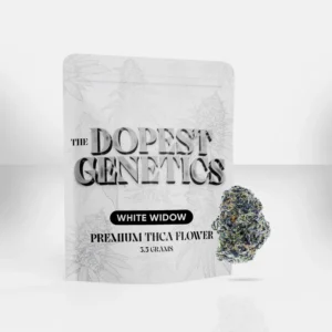 the dopest shop , the dopest , thedopestshop , dopest shop , dope as yola shop , thedopest , dopeasyola shop , dopest , dopestshop , dopest genetics , the dopest genetics , the dooest , dope as yola , thedopest shop , dope shop , dooest ,the dopestshop , the dope shop , the dooest shop , thedopestshop .com , thedopestshop com , dope as yola weed , dope as yola weed , thedopestshop.com , dope as yola thca , the dopest shop.com , dope as yola weed shop , the dopestshop.com , the dopest.com , the dopest shop photos , the dopeshop , dooest shop , the dopest yola , the dopest weed , the dopes , thca shops near , the doppest , dope genetics , the dopest com , the dopest. , dopest shop.com , dope as yola carts , doppest , thedooest , dopestyola , dopestyola , dope is yola shop , smokes n edibles , dopeshop , thca smoke shop near me , dopeasyola weed , thca vape near me , thca products near me , thca shops near me , thca gummies near me